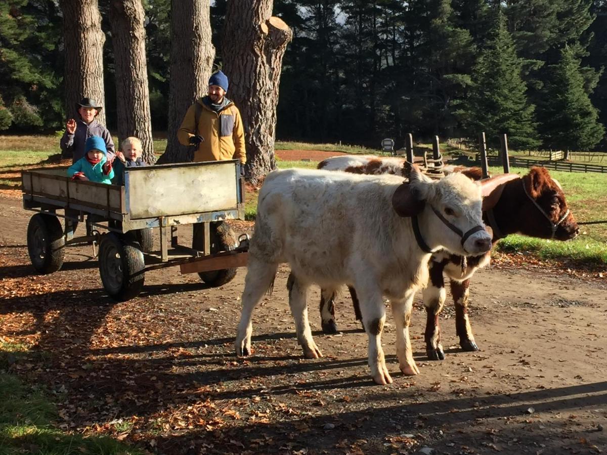 Mohaka River Farm Te Haroto Zewnętrze zdjęcie