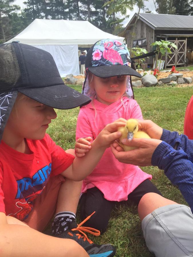 Mohaka River Farm Te Haroto Zewnętrze zdjęcie