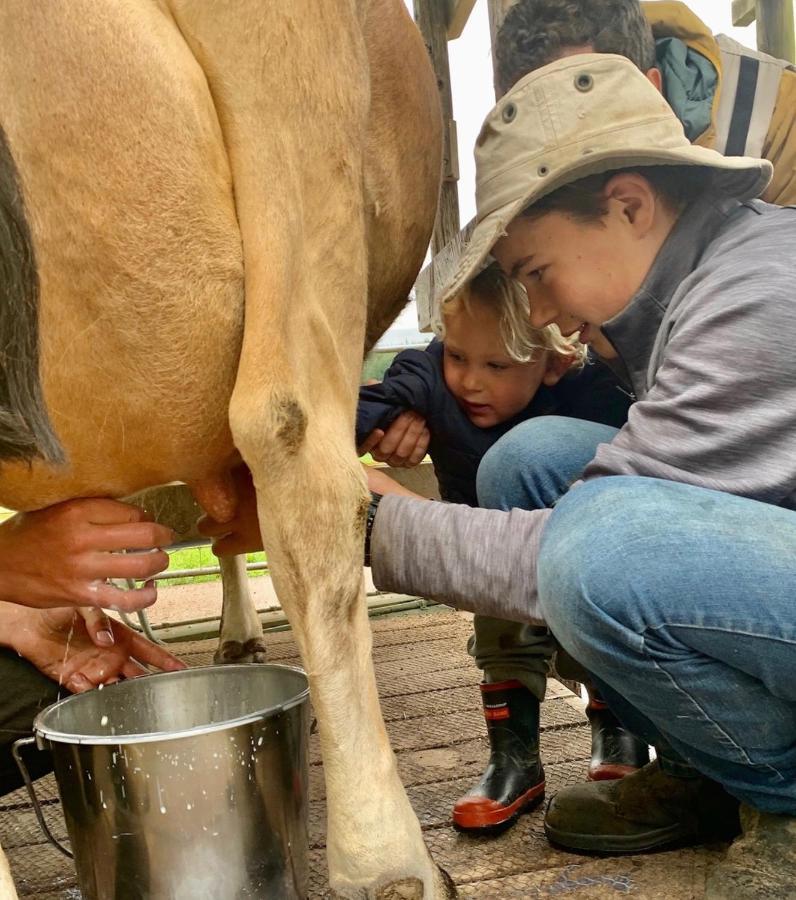 Mohaka River Farm Te Haroto Zewnętrze zdjęcie