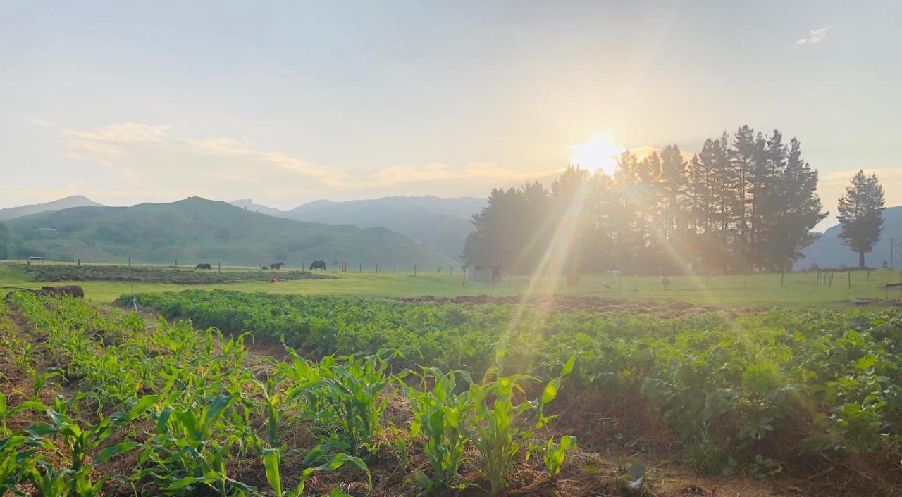 Mohaka River Farm Te Haroto Zewnętrze zdjęcie